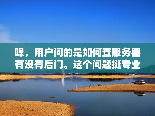 嗯，用户问的是如何查服务器有没有后门。这个问题挺专业的，我得先理解用户的需求。可能用户是网络安全人员，或者是普通用户担心服务器安全，想自己检查一下