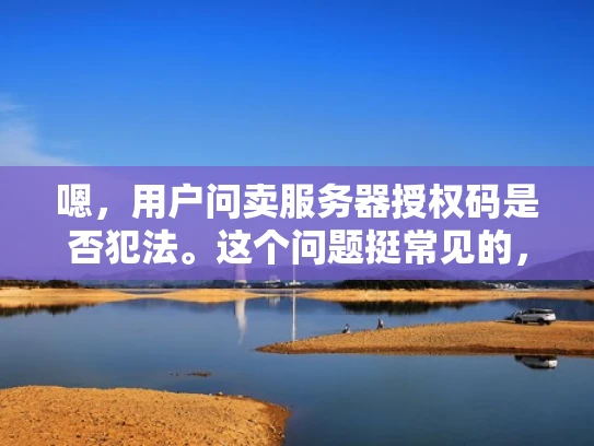 嗯，用户问卖服务器授权码是否犯法。这个问题挺常见的，但其实涉及到多个法律层面，我得好好分析一下