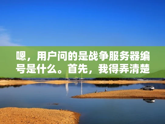 嗯，用户问的是战争服务器编号是什么。首先，我得弄清楚这个问题是什么意思。可能用户是在游戏或者某个军事模拟环境中使用服务器，想知道服务器的编号是怎么回事