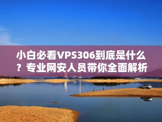 小白必看VPS306到底是什么？专业网安人员带你全面解析