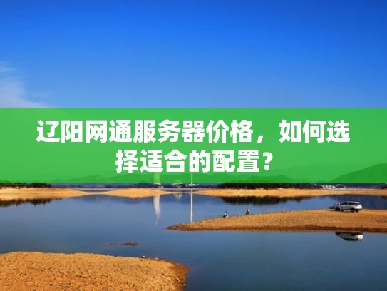 辽阳网通服务器价格，如何选择适合的配置？