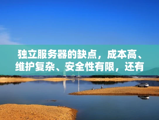独立服务器的缺点，成本高、维护复杂、安全性有限，还有这些隐藏问题