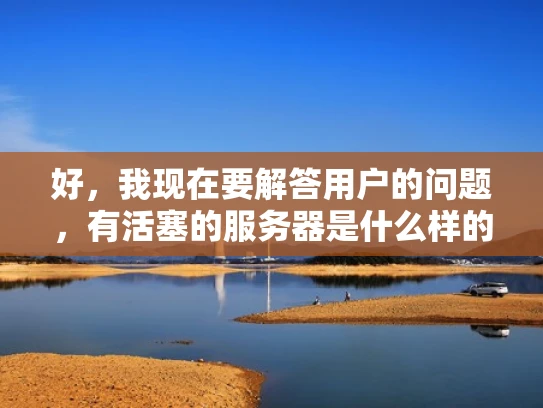 好，我现在要解答用户的问题，有活塞的服务器是什么样的。首先，我需要理解活塞在服务器中的意思。活塞通常指的是一个可以开启和关闭的结构，可能用于控制资源的访问