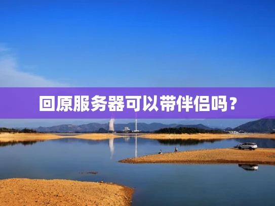 回原服务器可以带伴侣吗？