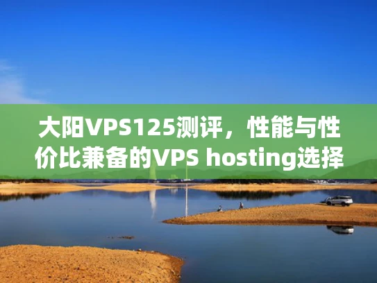 大阳VPS125测评，性能与性价比兼备的VPS hosting选择