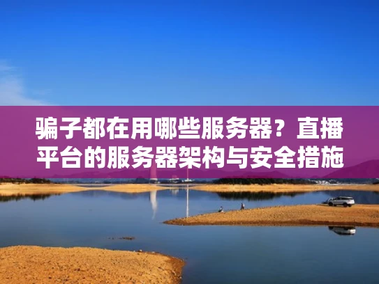 骗子都在用哪些服务器？直播平台的服务器架构与安全措施解析