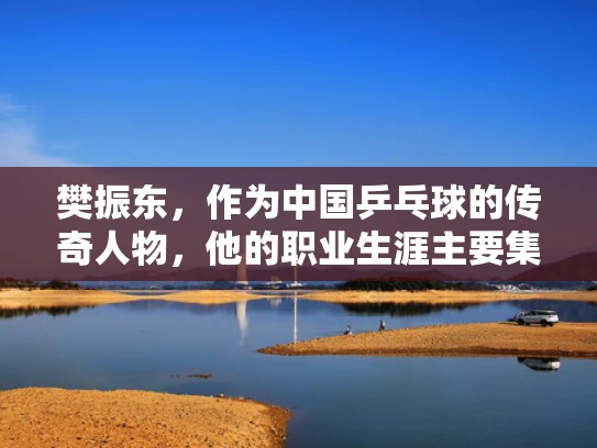 樊振东，作为中国乒乓球的传奇人物，他的职业生涯主要集中在竞技体育和公众形象管理上。因此，他不太可能使用VPS来管理他的职业生涯或相关事务