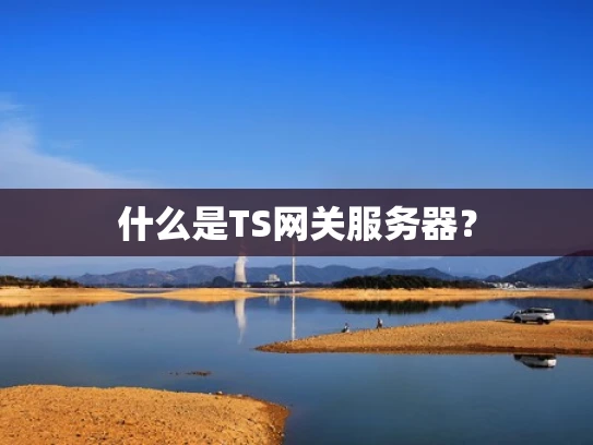 什么是TS网关服务器？