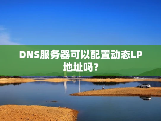 DNS服务器可以配置动态LP地址吗？