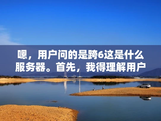 嗯，用户问的是跨6这是什么服务器。首先，我得理解用户的问题。跨6可能是指跨平台或者跨版本，但具体是什么服务器呢？可能用户对服务器的类型不太清楚，或者遇到了某个特定的服务器问题