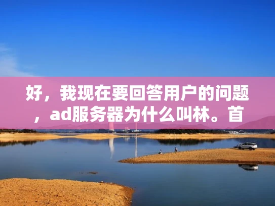 好，我现在要回答用户的问题，ad服务器为什么叫林。首先，我需要理解这个问题背后的意思。用户可能是在询问为什么广告服务器会选择林作为名字，或者林这个名称背后是否有特别的含义