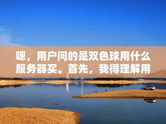 嗯，用户问的是双色球用什么服务器买。首先，我得理解用户的需求。双色球是一个彩票平台，用户可能想知道如何选择合适的服务器来托管这个平台。服务器选择涉及到很多方面，比如稳定性、带宽、安全等等