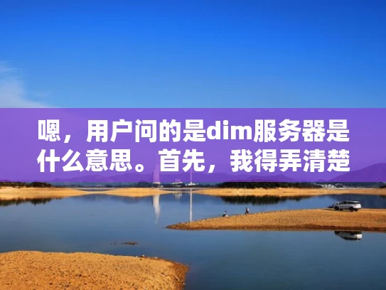 嗯，用户问的是dim服务器是什么意思。首先，我得弄清楚这个词组的含义。可能是一个拼写错误，或者是某个特定领域的术语。我先查一下dim这个词在技术领域中的意思