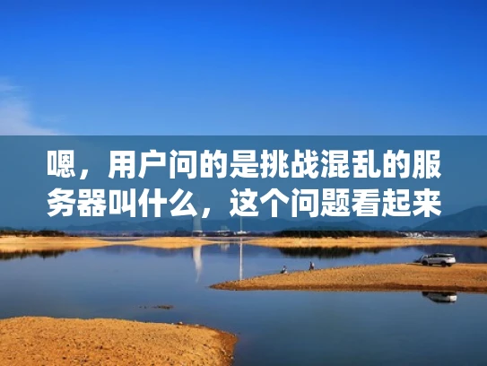 嗯，用户问的是挑战混乱的服务器叫什么，这个问题看起来是关于网络安全的。首先，我需要理解用户的具体需求。他们可能是在寻找一个术语，用来描述对抗或破坏混乱的服务器系统的行为