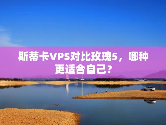 斯蒂卡VPS对比玫瑰5，哪种更适合自己？
