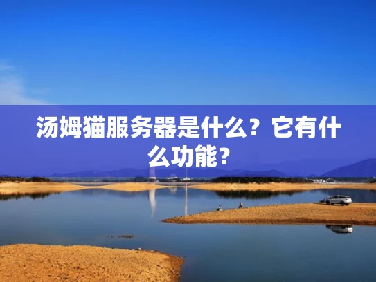 汤姆猫服务器是什么？它有什么功能？