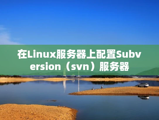 在Linux服务器上配置Subversion（svn）服务器