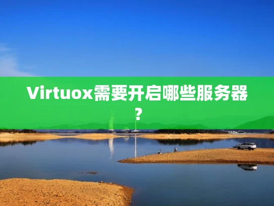 Virtuox需要开启哪些服务器？