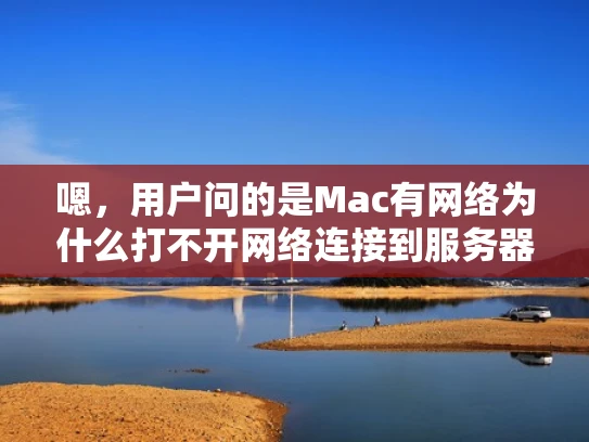 嗯，用户问的是Mac有网络为什么打不开网络连接到服务器。首先，我得理解这个问题。用户可能在使用Mac的时候，发现网络看起来正常，但无法连接到服务器。这可能是因为网络配置问题，或者是服务器本身的问题