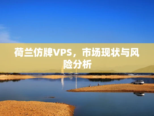 荷兰仿牌VPS，市场现状与风险分析