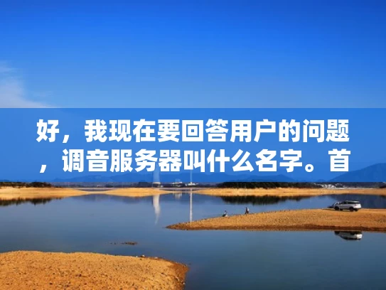 好，我现在要回答用户的问题，调音服务器叫什么名字。首先，我需要理解用户的问题。他们可能在问调音服务器通常被称为什么，或者有没有特定的术语