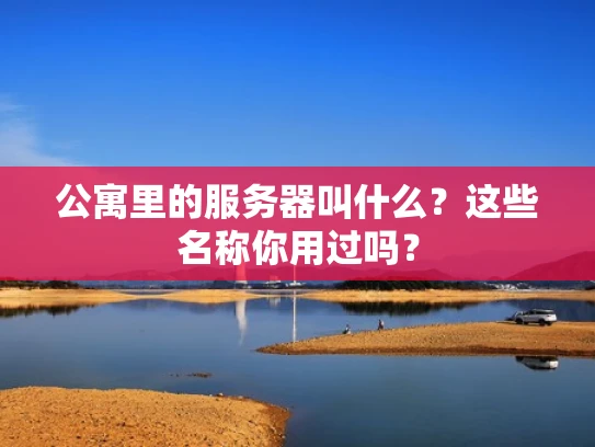 公寓里的服务器叫什么？这些名称你用过吗？