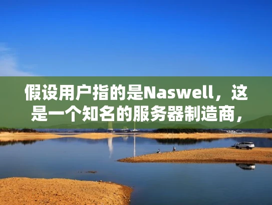 假设用户指的是Naswell，这是一个知名的服务器制造商，专注于为企业和政府提供高性能服务器。接下来，我需要从品牌背景、产品特点、市场定位、优势以及案例等方面展开，结合专业知识，用大白话解释