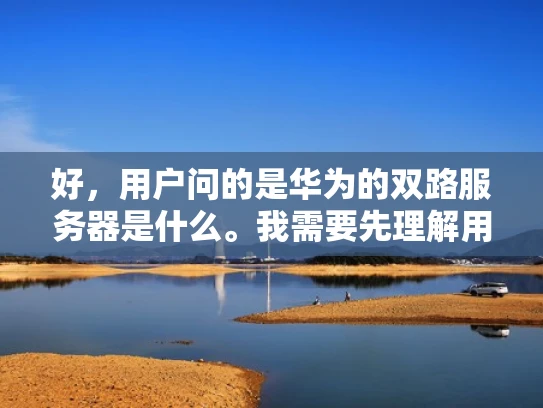 好，用户问的是华为的双路服务器是什么。我需要先理解用户的问题，然后提供一个全面且易懂的回答