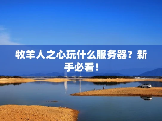 牧羊人之心玩什么服务器？新手必看！