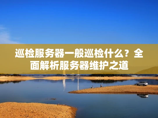 巡检服务器一般巡检什么？全面解析服务器维护之道