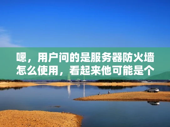 嗯，用户问的是服务器防火墙怎么使用，看起来他可能是个刚开始接触网络管理的人，或者是一个需要加强服务器安全性的管理员。他希望得到一个详细且易于理解的指导，结合专业知识，但用大白话表达
