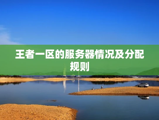 王者一区的服务器情况及分配规则
