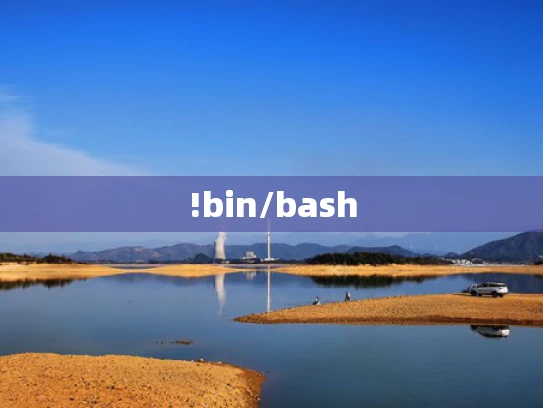 !bin/bash