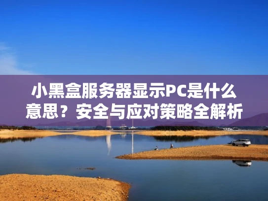 小黑盒服务器显示PC是什么意思？安全与应对策略全解析