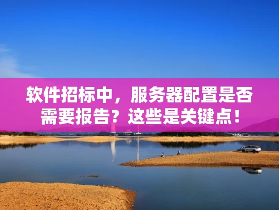 软件招标中，服务器配置是否需要报告？这些是关键点！