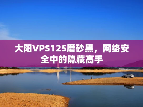 大阳VPS125磨砂黑，网络安全中的隐藏高手