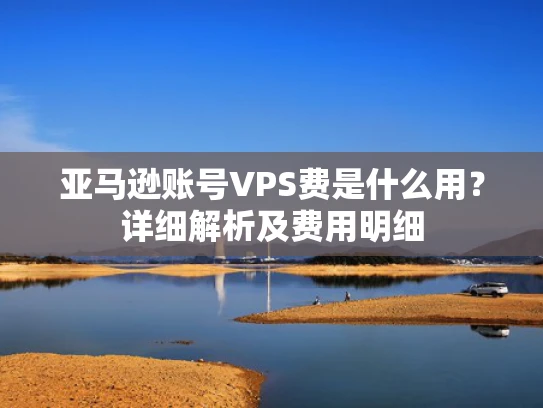 亚马逊账号VPS费是什么用？详细解析及费用明细