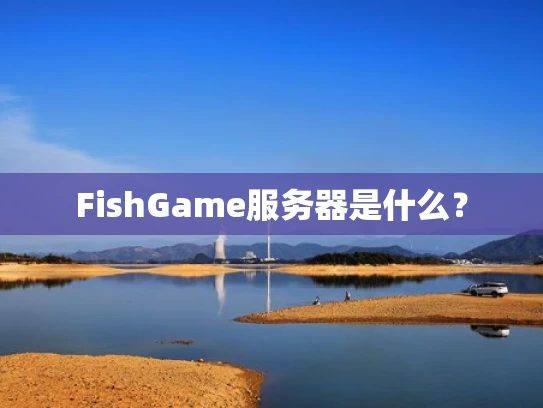 FishGame服务器是什么？