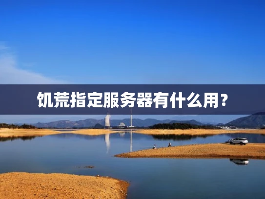 饥荒指定服务器有什么用？