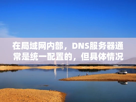 在局域网内部，DNS服务器通常是统一配置的，但具体情况取决于网络的设计和管理。以下是一些常见的情况