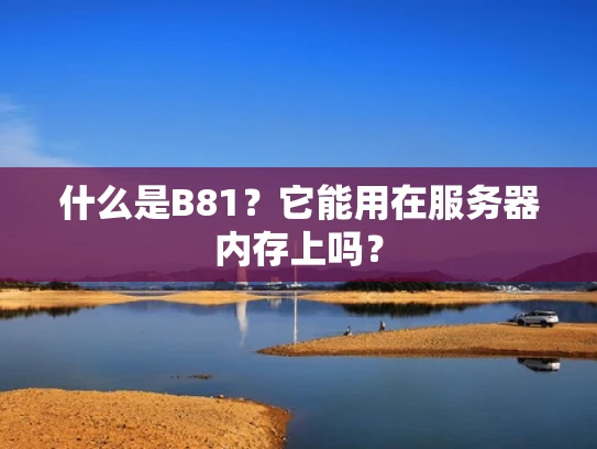 什么是B81？它能用在服务器内存上吗？