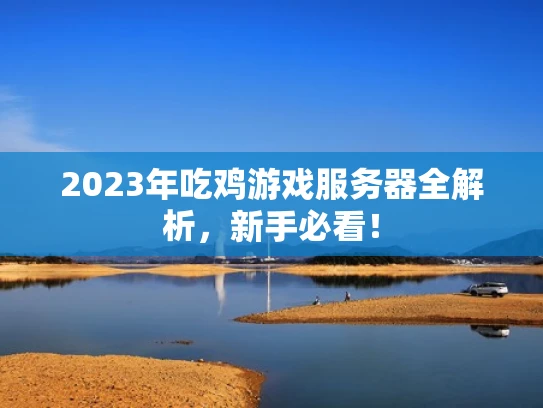 2023年吃鸡游戏服务器全解析，新手必看！