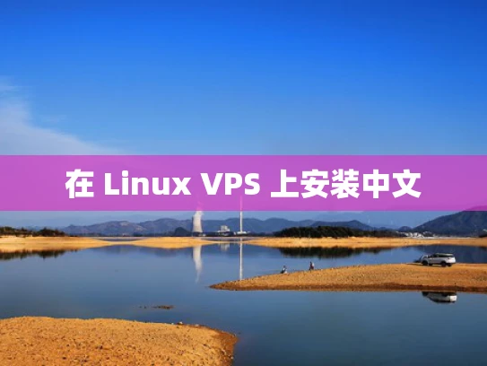 在 Linux VPS 上安装中文