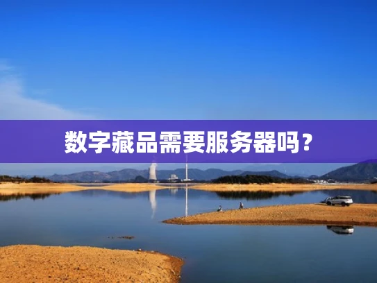 数字藏品需要服务器吗？