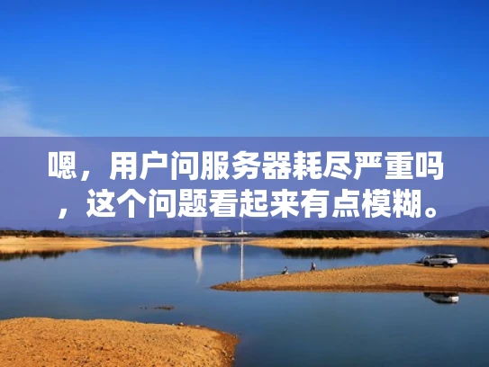 嗯，用户问服务器耗尽严重吗，这个问题看起来有点模糊。首先，我需要明确用户的具体需求。他们可能想知道服务器是否已经接近容量极限，或者是否需要升级。也有可能是担心服务器性能下降，影响业务