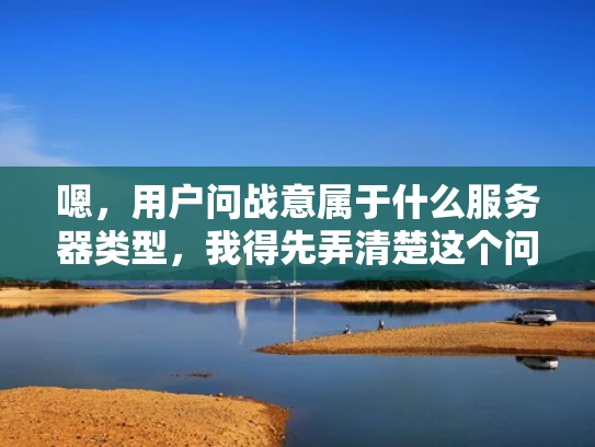 嗯，用户问战意属于什么服务器类型，我得先弄清楚这个问题。首先，我需要明确战意是什么。可能用户指的是战意这款游戏，或者是战意这个词汇在其他上下文中的含义。假设是游戏的话，我得了解游戏的类型
