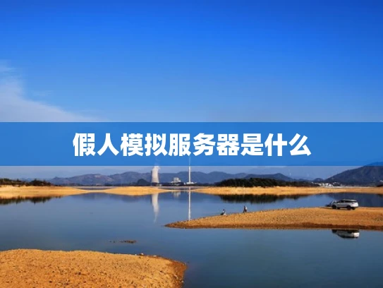 假人模拟服务器是什么