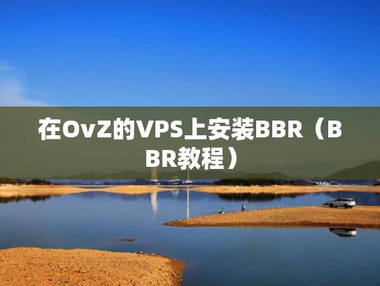 在OvZ的VPS上安装BBR（BBR教程）