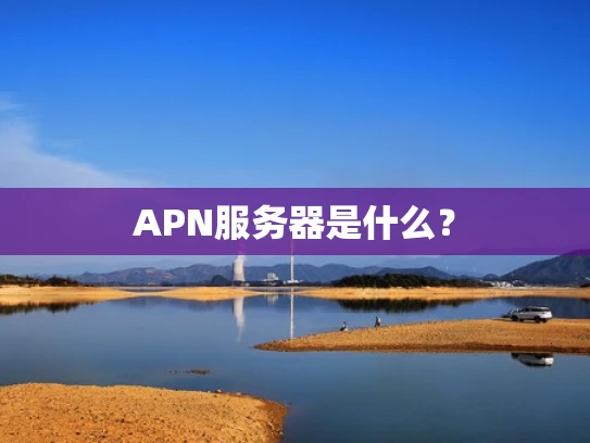 APN服务器是什么？