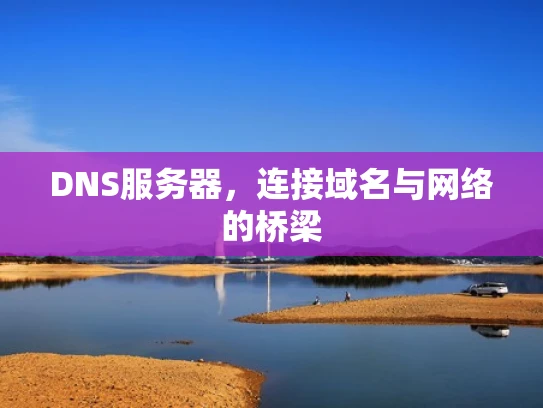 DNS服务器，连接域名与网络的桥梁